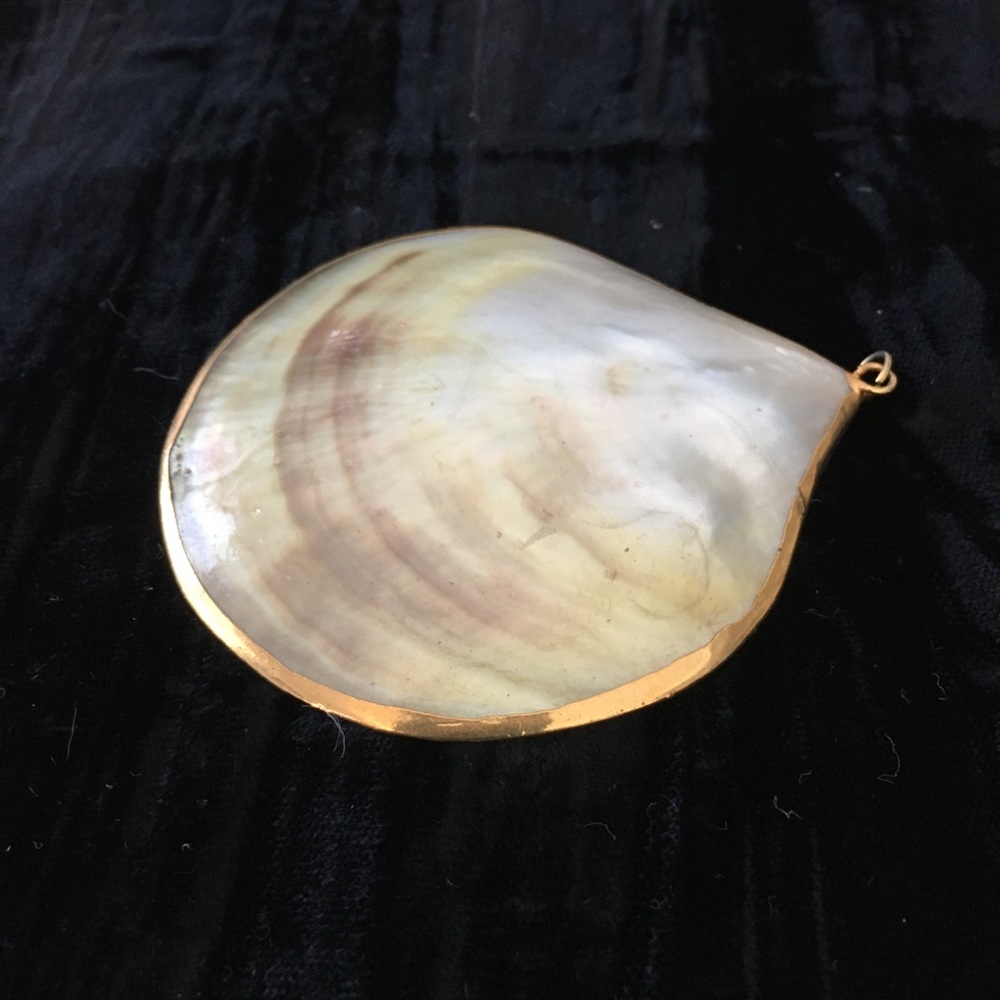 Shell incased in Gold Drop